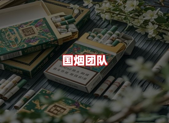 国烟团队